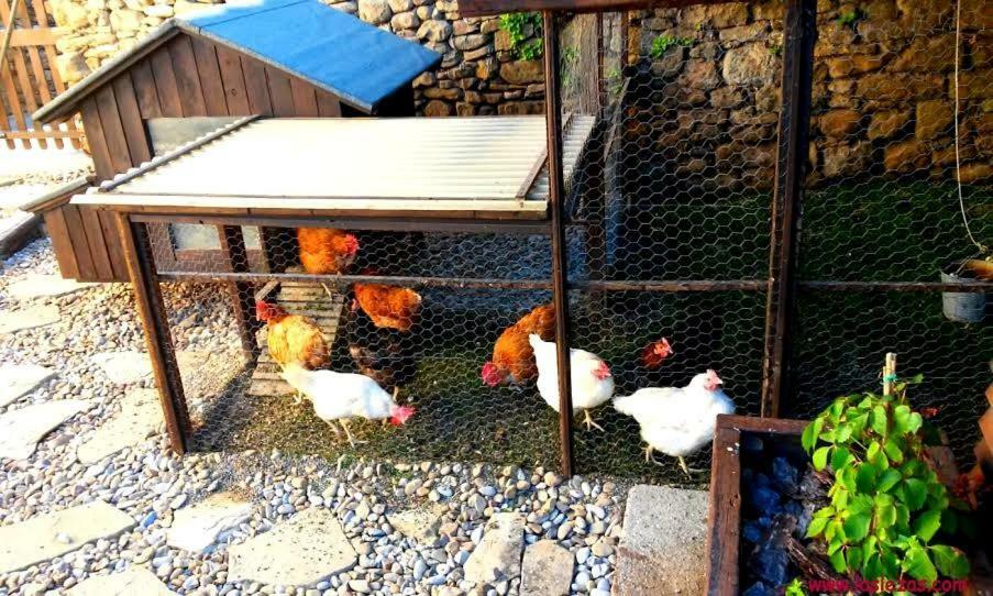 Casa Rural Las Lezas Бьель Номер фото